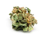 Massachusetts Medical Marijuana Reviews