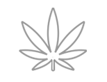 Find MA Dispensaries 